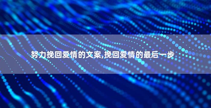 努力挽回爱情的文案,挽回爱情的最后一步