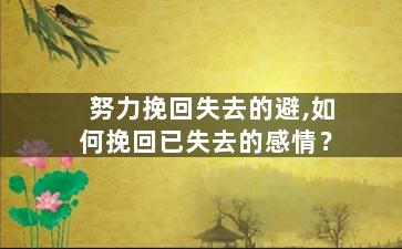 努力挽回失去的避,如何挽回已失去的感情？