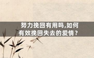 努力挽回有用吗,如何有效挽回失去的爱情？