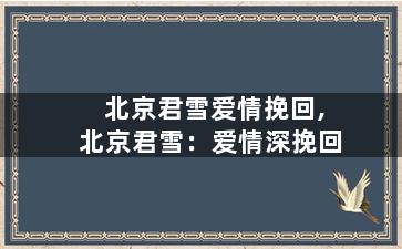 北京君雪爱情挽回,北京君雪：爱情深挽回