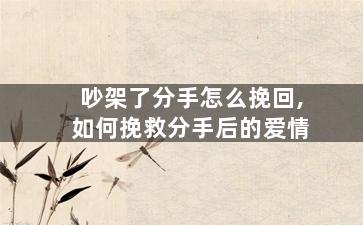 吵架了分手怎么挽回,如何挽救分手后的爱情