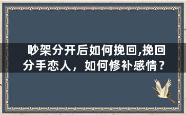 吵架分开后如何挽回,挽回分手恋人，如何修补感情？