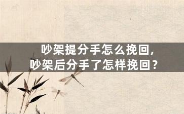 吵架提分手怎么挽回,吵架后分手了怎样挽回？