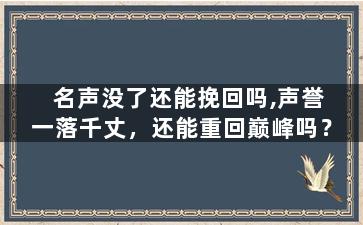 名声没了还能挽回吗,声誉一落千丈，还能重回巅峰吗？