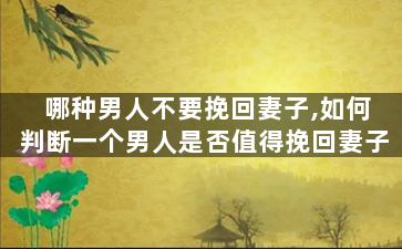 哪种男人不要挽回妻子,如何判断一个男人是否值得挽回妻子