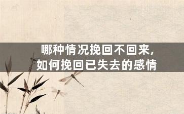 哪种情况挽回不回来,如何挽回已失去的感情