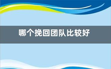 哪个挽回团队比较好