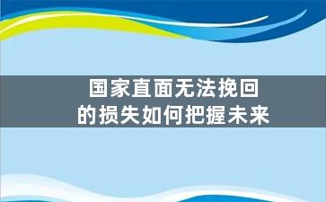 国家直面无法挽回的损失如何把握未来