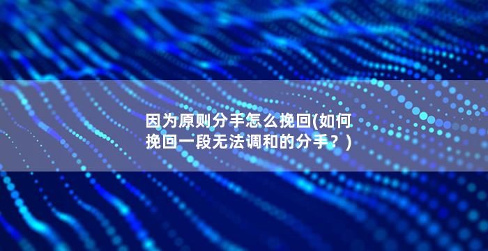 因为原则分手怎么挽回(如何挽回一段无法调和的分手？)