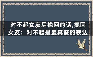 对不起女友后挽回的话,挽回女友：对不起是最真诚的表达