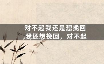 对不起我还是想挽回,我还想挽回，对不起