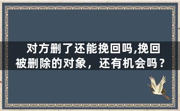 对方删了还能挽回吗,挽回被删除的对象，还有机会吗？