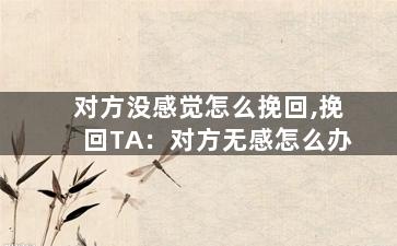 对方没感觉怎么挽回,挽回TA：对方无感怎么办