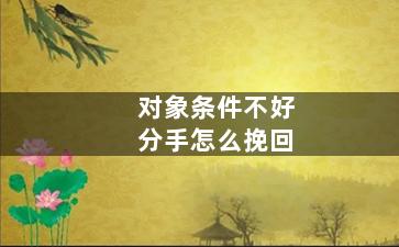 对象条件不好分手怎么挽回（对象条件不好分手怎么挽回他）