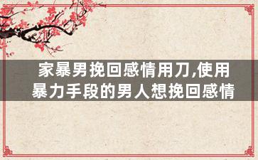 家暴男挽回感情用刀,使用暴力手段的男人想挽回感情