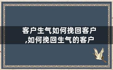 客户生气如何挽回客户,如何挽回生气的客户