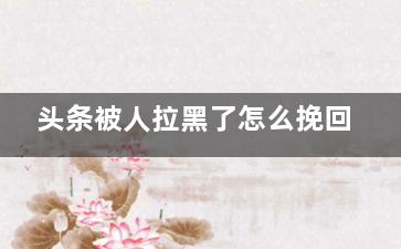 头条被人拉黑了怎么挽回（头条把人拉黑,他还能看到最后发的信息吗）