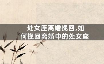 处女座离婚挽回,如何挽回离婚中的处女座