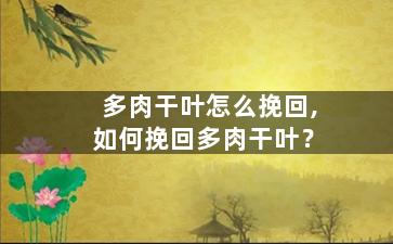 多肉干叶怎么挽回,如何挽回多肉干叶？