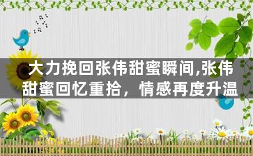 大力挽回张伟甜蜜瞬间,张伟甜蜜回忆重拾，情感再度升温