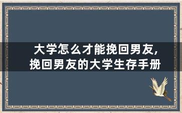 大学怎么才能挽回男友,挽回男友的大学生存手册