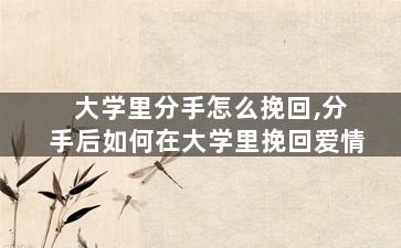 大学里分手怎么挽回,分手后如何在大学里挽回爱情