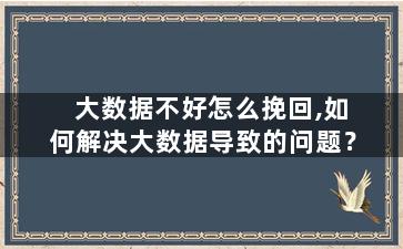 大数据不好怎么挽回,如何解决大数据导致的问题？