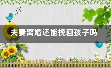 夫妻离婚还能挽回孩子吗（如果夫妻离婚了可以共同抚养小孩吗）