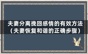 夫妻分离挽回感情的有效方法（夫妻恢复和谐的正确步骤）