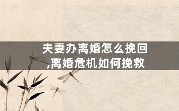 夫妻办离婚怎么挽回,离婚危机如何挽救