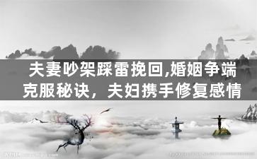 夫妻吵架踩雷挽回,婚姻争端克服秘诀，夫妇携手修复感情