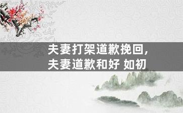 夫妻打架道歉挽回,夫妻道歉和好