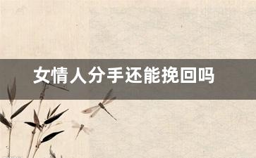 女情人分手还能挽回吗（女情人与我分手了还能挽回吗?）