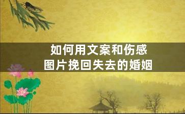 如何用文案和伤感图片挽回失去的婚姻