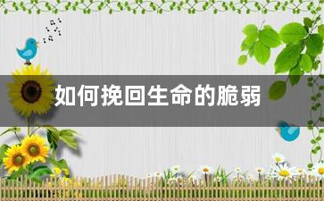 如何挽回生命的脆弱（如此脆弱的生命为何不好好珍惜）