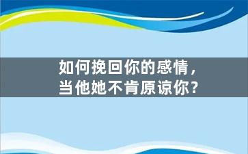 如何挽回你的感情，当他她不肯原谅你？