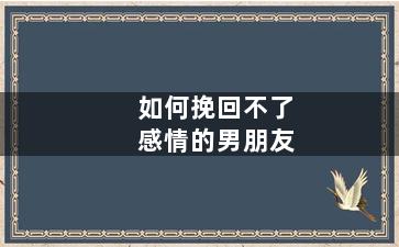 如何挽回不了感情的男朋友