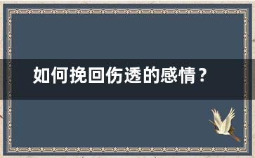 如何挽回伤透的感情？