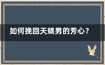 如何挽回天蝎男的芳心？