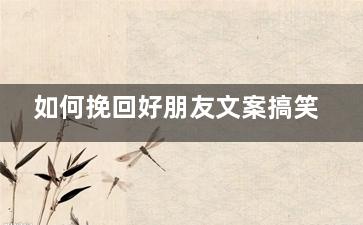 如何挽回好朋友文案搞笑