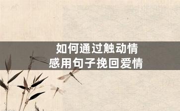如何通过触动情感用句子挽回爱情