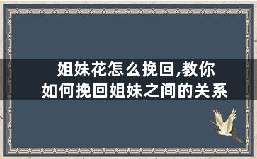 姐妹花怎么挽回,教你如何挽回姐妹之间的关系