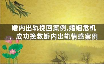 婚内出轨挽回案例,婚姻危机，成功挽救婚内出轨情感案例