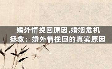 婚外情挽回原因,婚姻危机拯救：婚外情挽回的真实原因