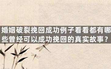 婚姻破裂挽回成功例子看看都有哪些曾经可以成功挽回的真实故事？