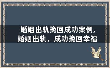 婚姻出轨挽回成功案例,婚姻出轨，成功挽回幸福
