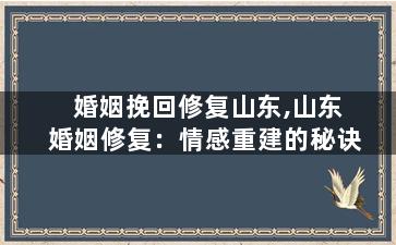 婚姻挽回修复山东,山东婚姻修复：情感重建的秘诀