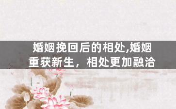 婚姻挽回后的相处,婚姻重获新生，相处更加融洽