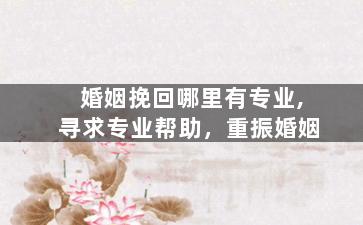 婚姻挽回哪里有专业,寻求专业帮助，重振婚姻