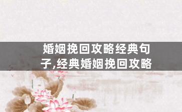 婚姻挽回攻略经典句子,经典婚姻挽回攻略